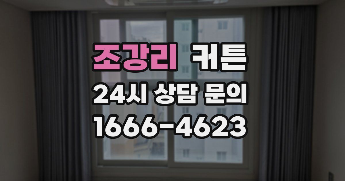 조강리 커튼
