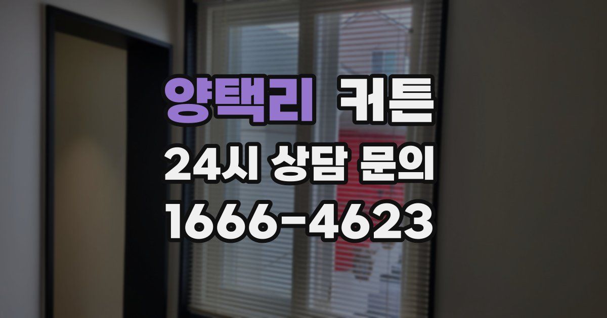 양택리 커튼