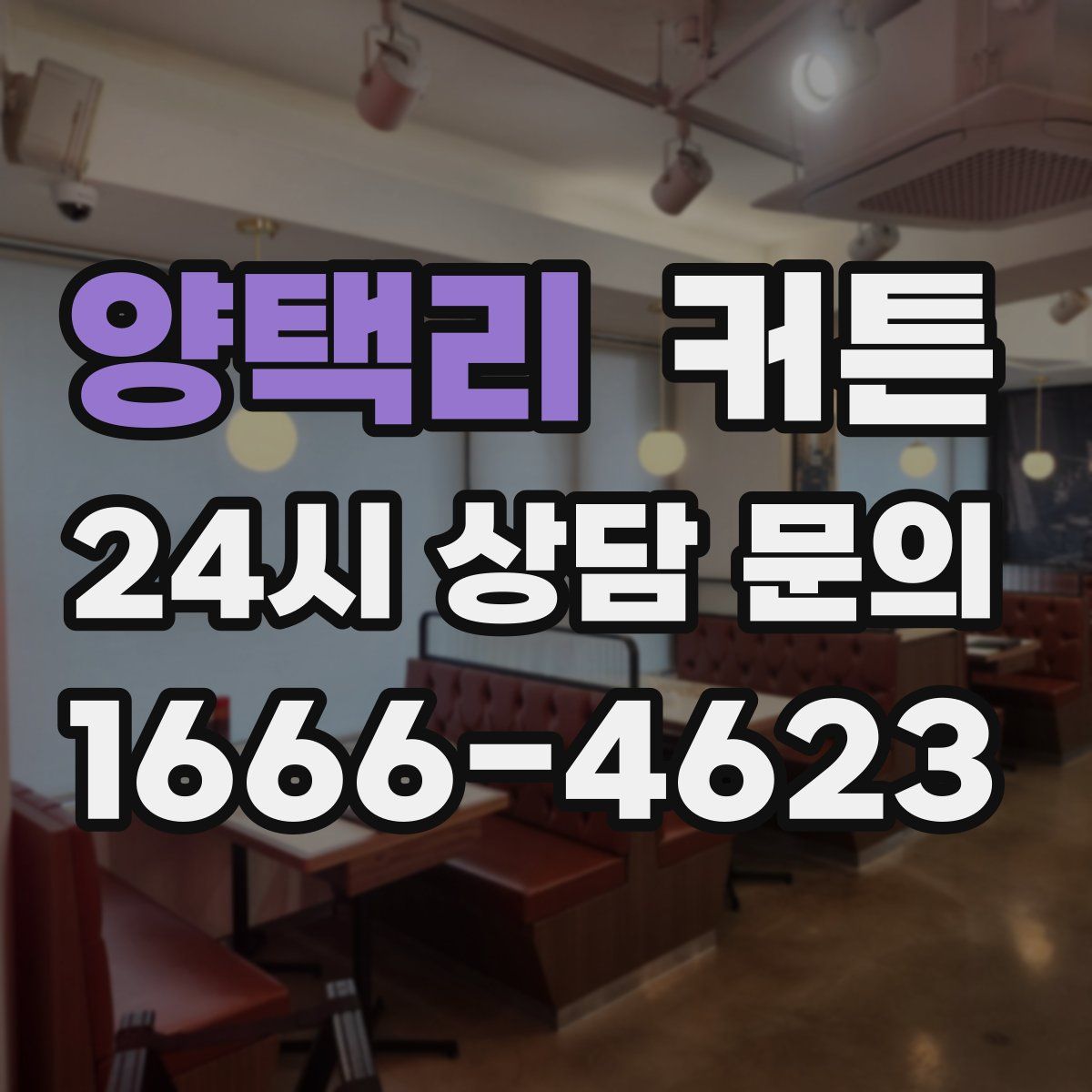 양택리 커튼