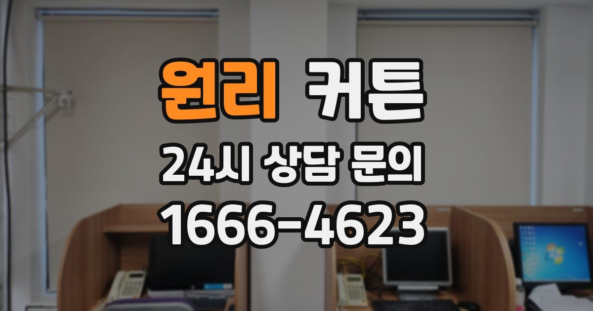 원리 커튼