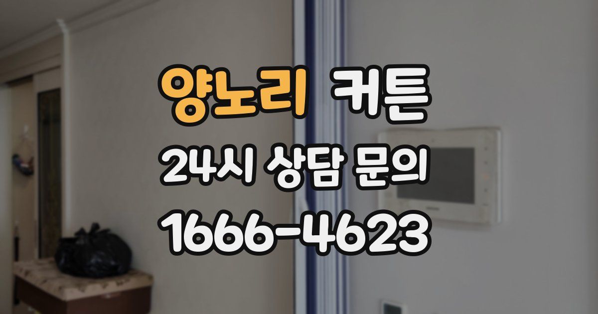 양노리 커튼