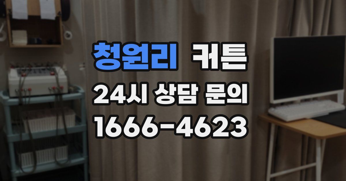 청원리 커튼
