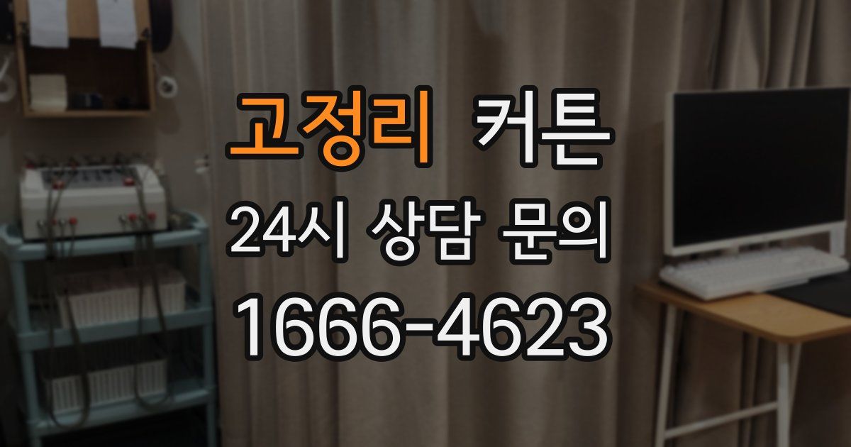 고정리 커튼