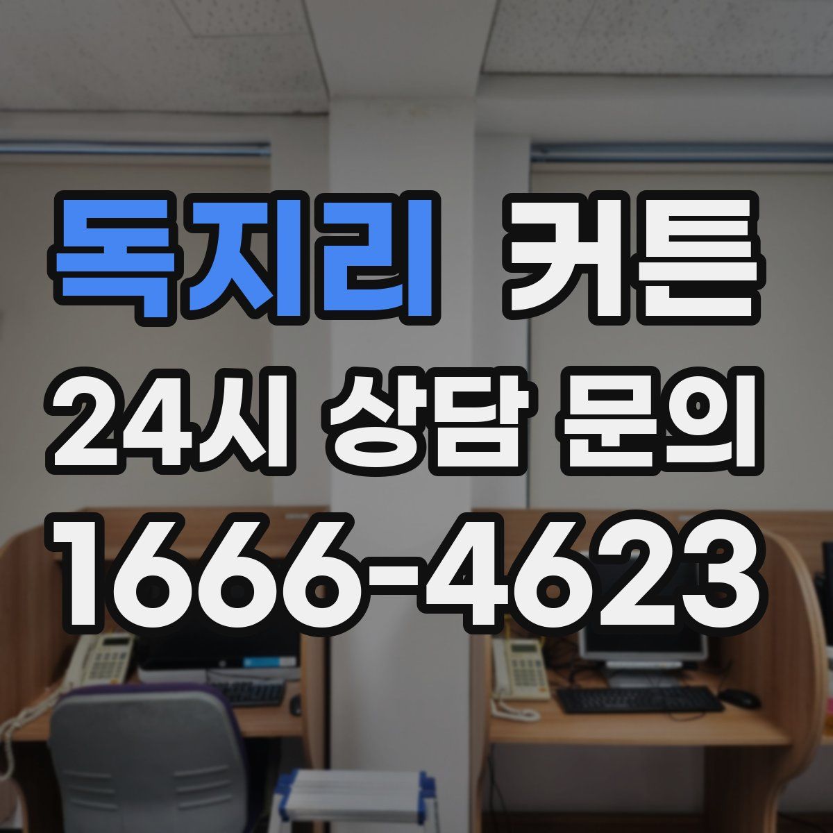 독지리 커튼