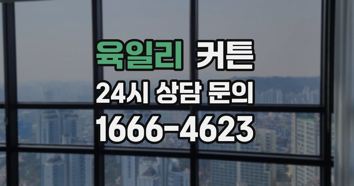 육일리 커튼