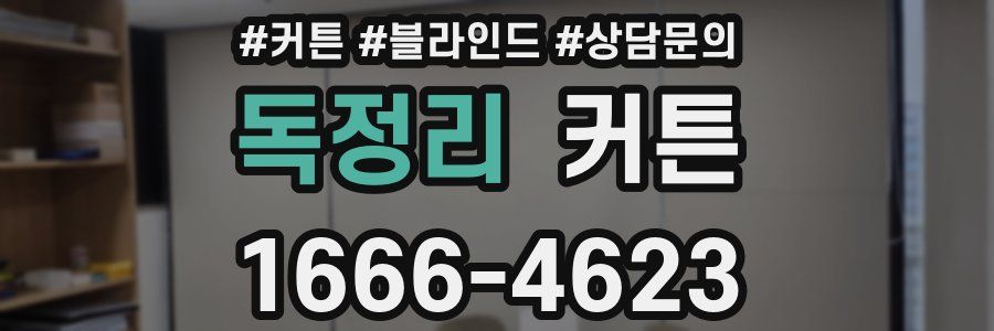 독정리 커튼