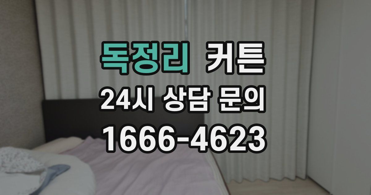 독정리 커튼
