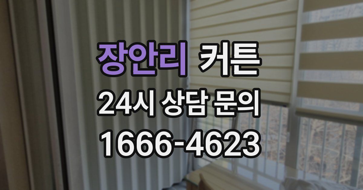 장안리 커튼