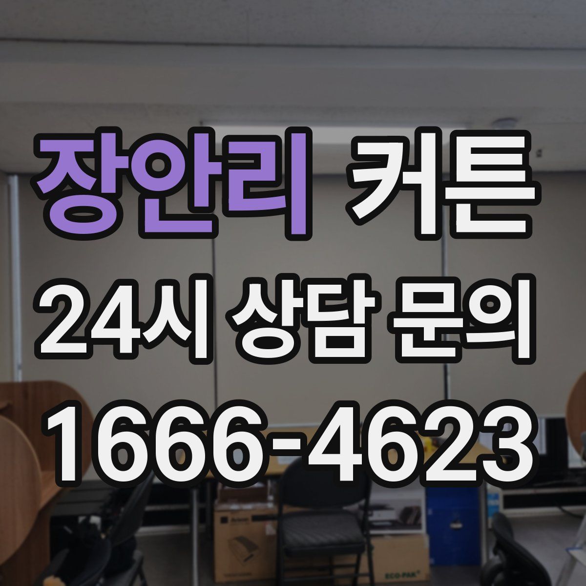 장안리 커튼