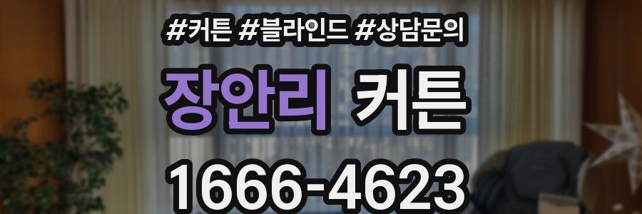 장안리 커튼