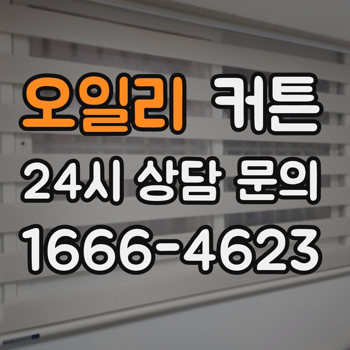 오일리 커튼