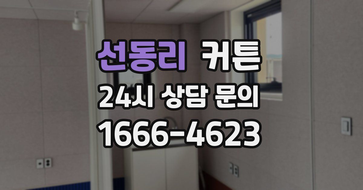 선동리 커튼