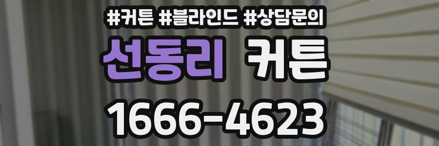 선동리 커튼