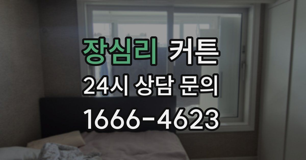 장심리 커튼