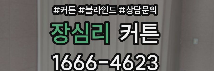 장심리 커튼