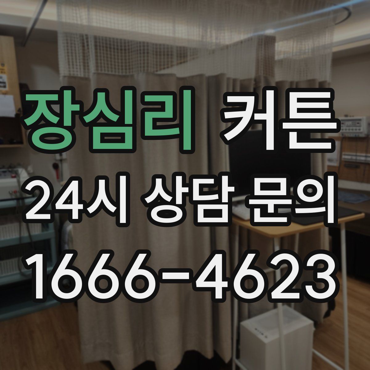 장심리 커튼
