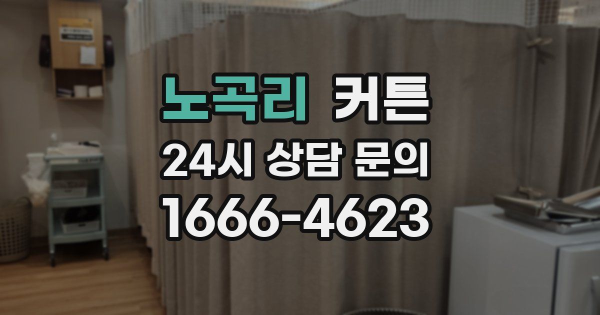 노곡리 커튼