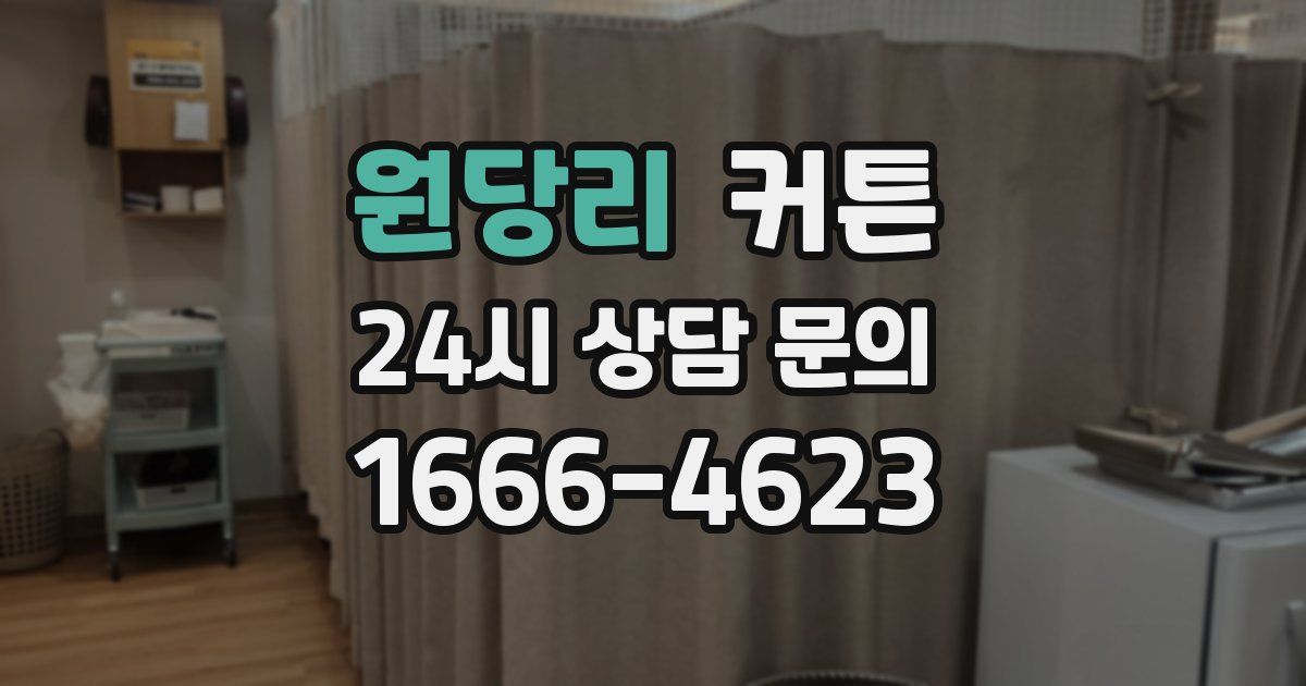 원당리 커튼