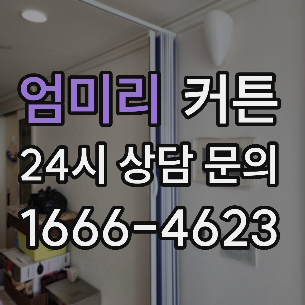 엄미리 커튼