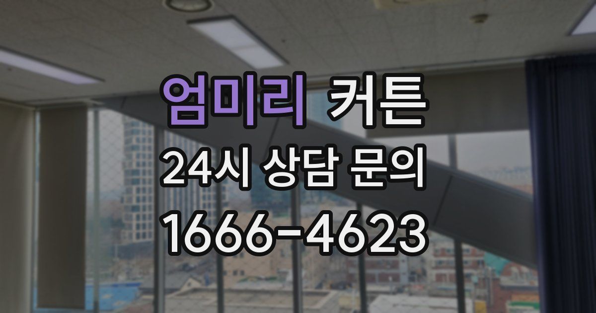 엄미리 커튼