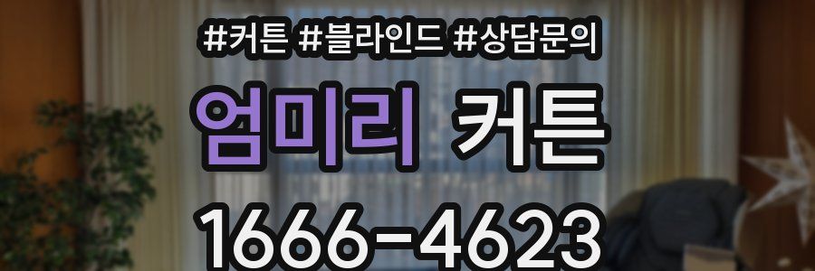 엄미리 커튼