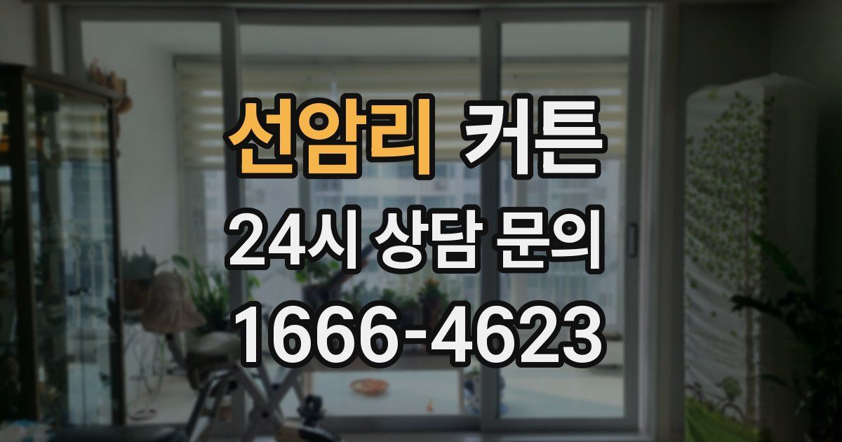 선암리 커튼