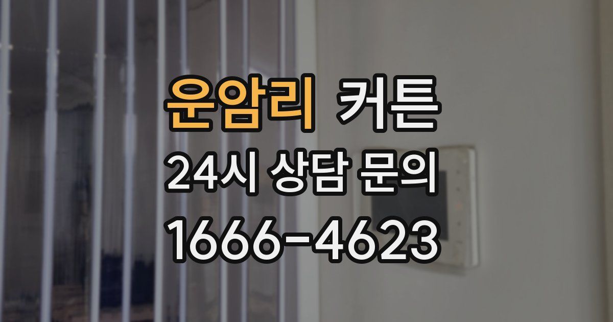 운암리 커튼