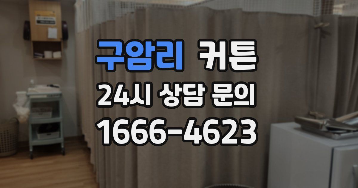구암리 커튼