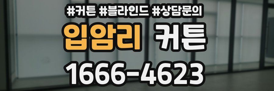 입암리 커튼