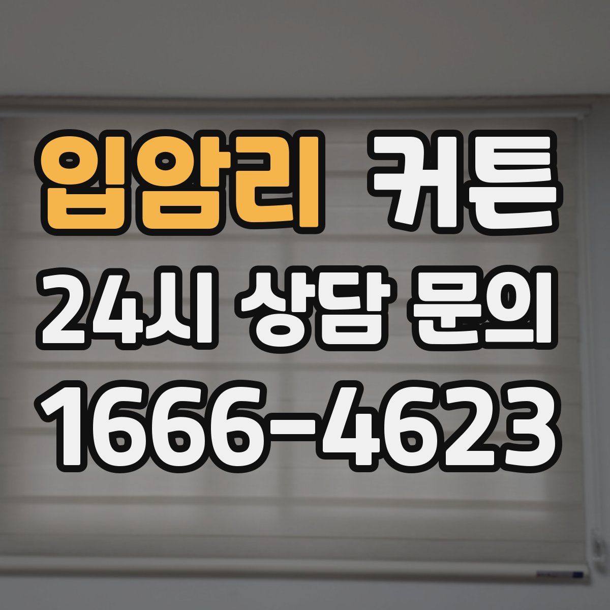 입암리 커튼