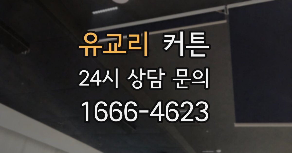 유교리 커튼