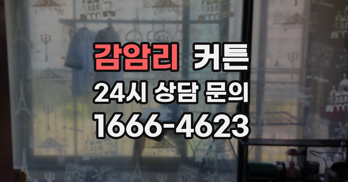 감암리 커튼
