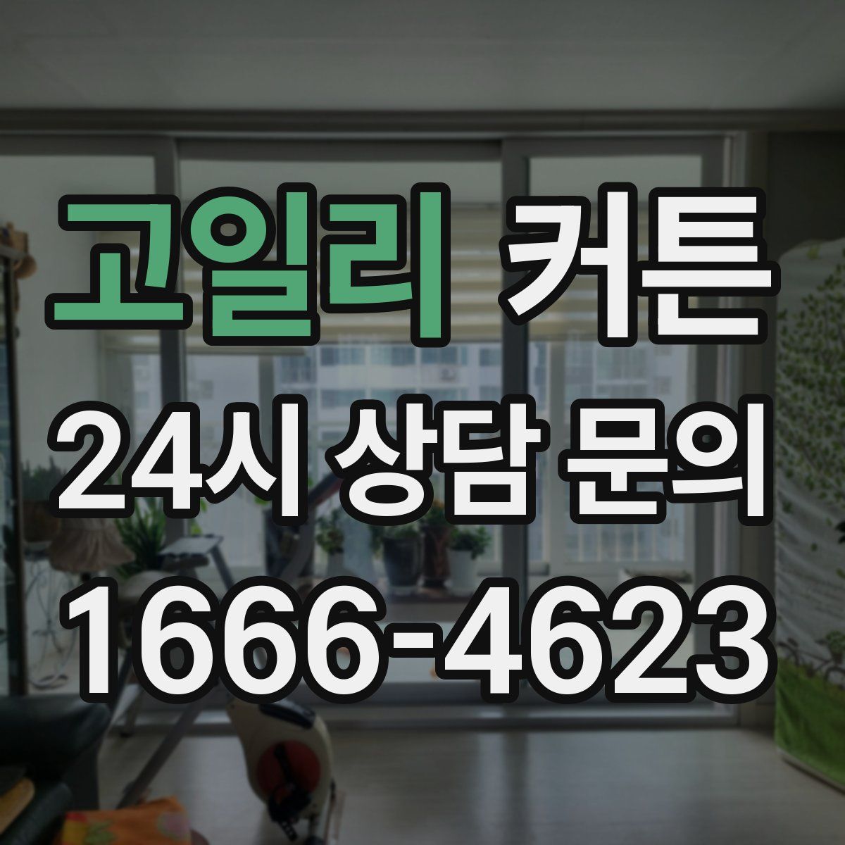 고일리 커튼