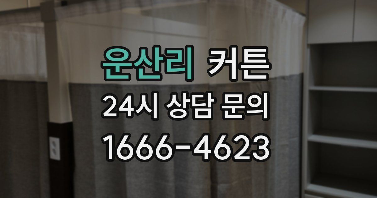운산리 커튼