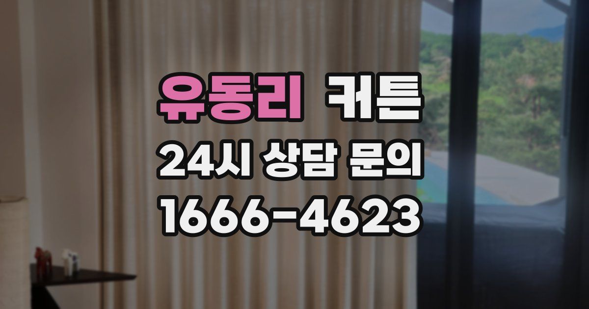 유동리 커튼