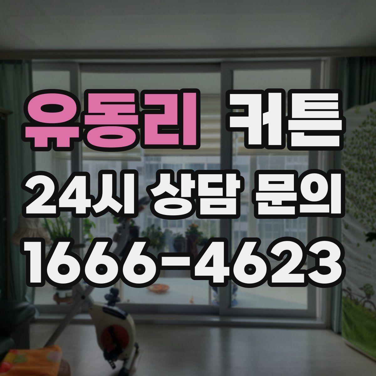 유동리 커튼