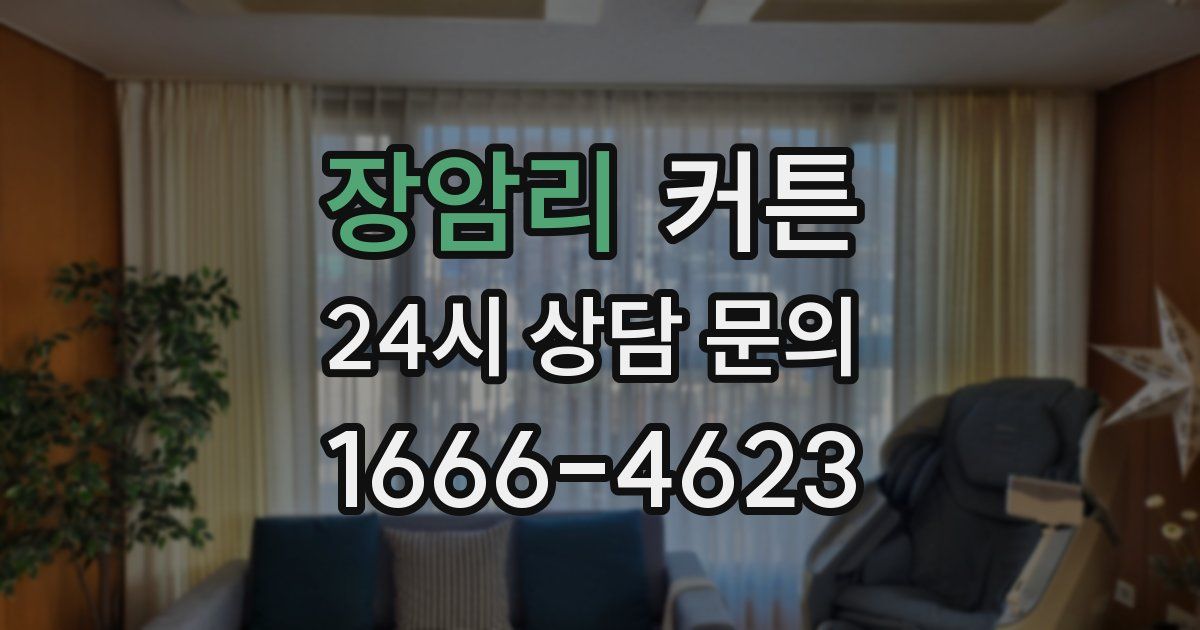 장암리 커튼