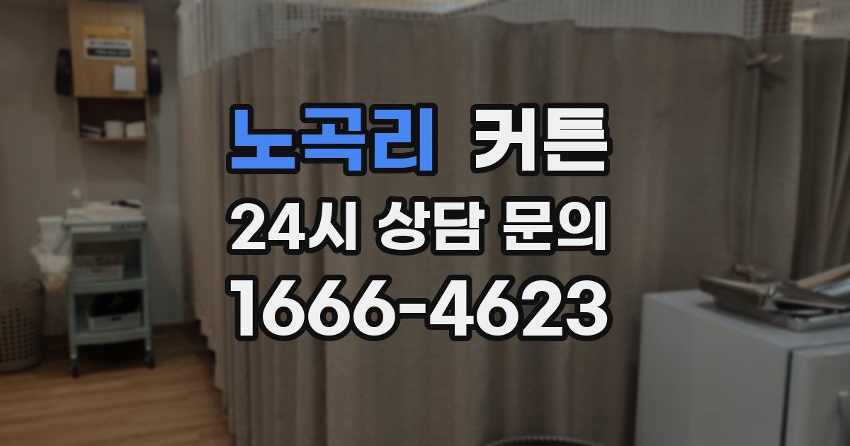 노곡리 커튼