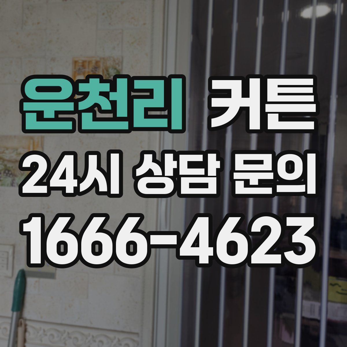 운천리 커튼
