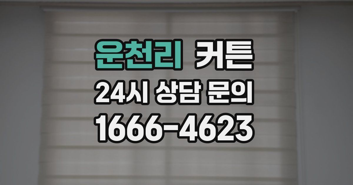 운천리 커튼