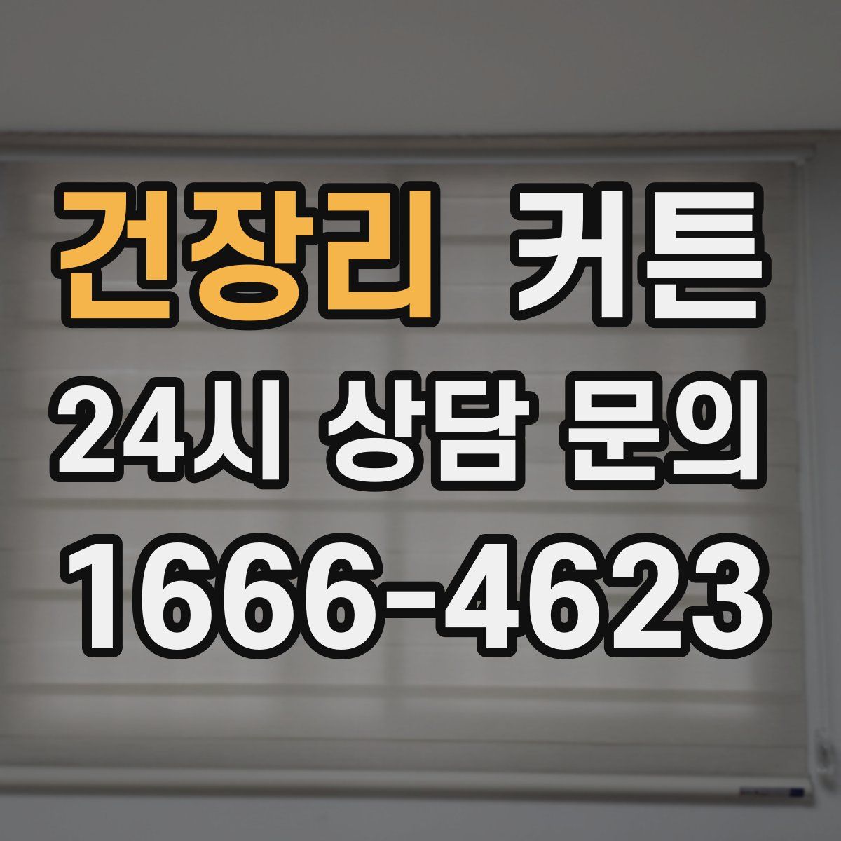 건장리 커튼