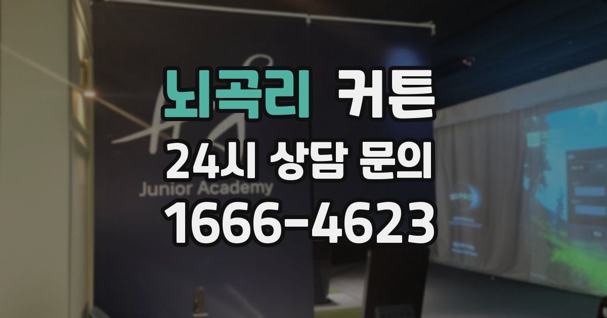 뇌곡리 커튼