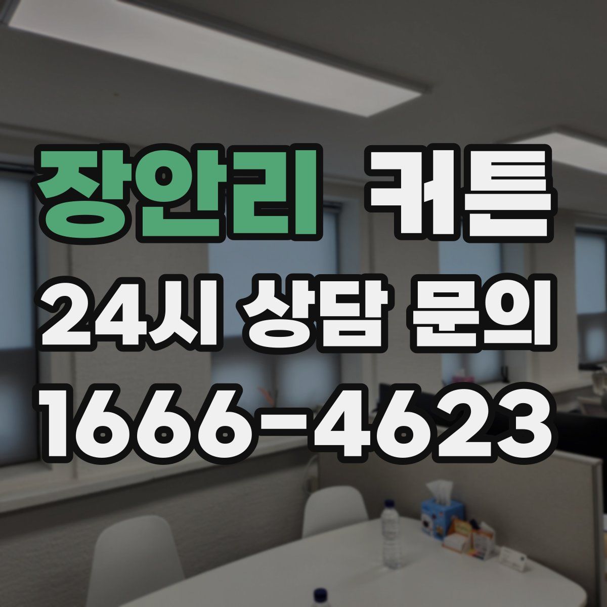 장안리 커튼