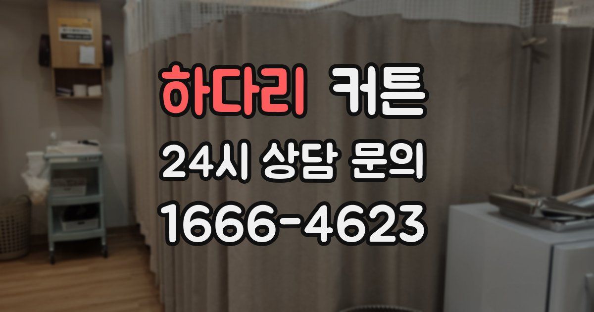 하다리 커튼