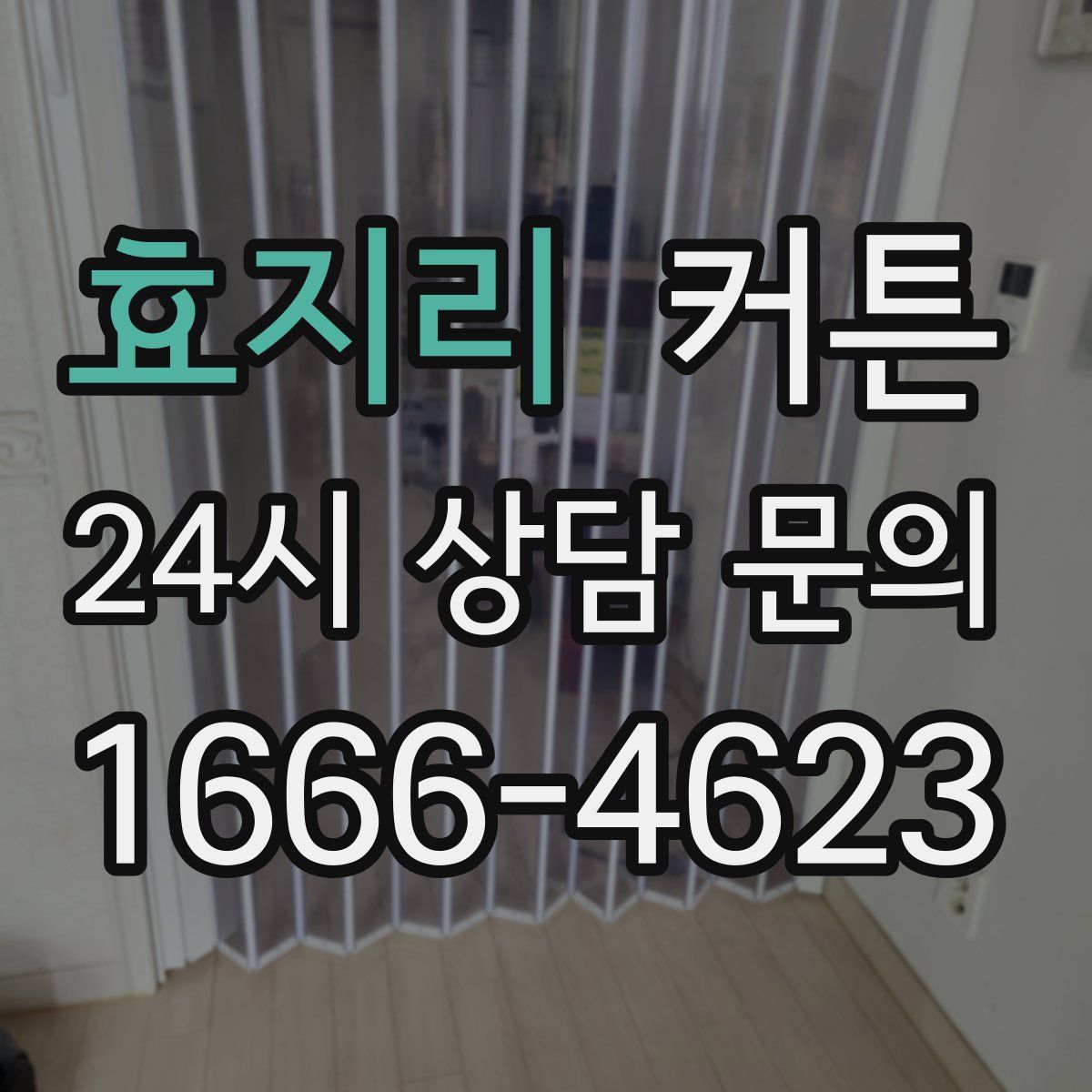효지리 커튼