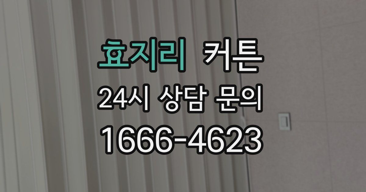 효지리 커튼