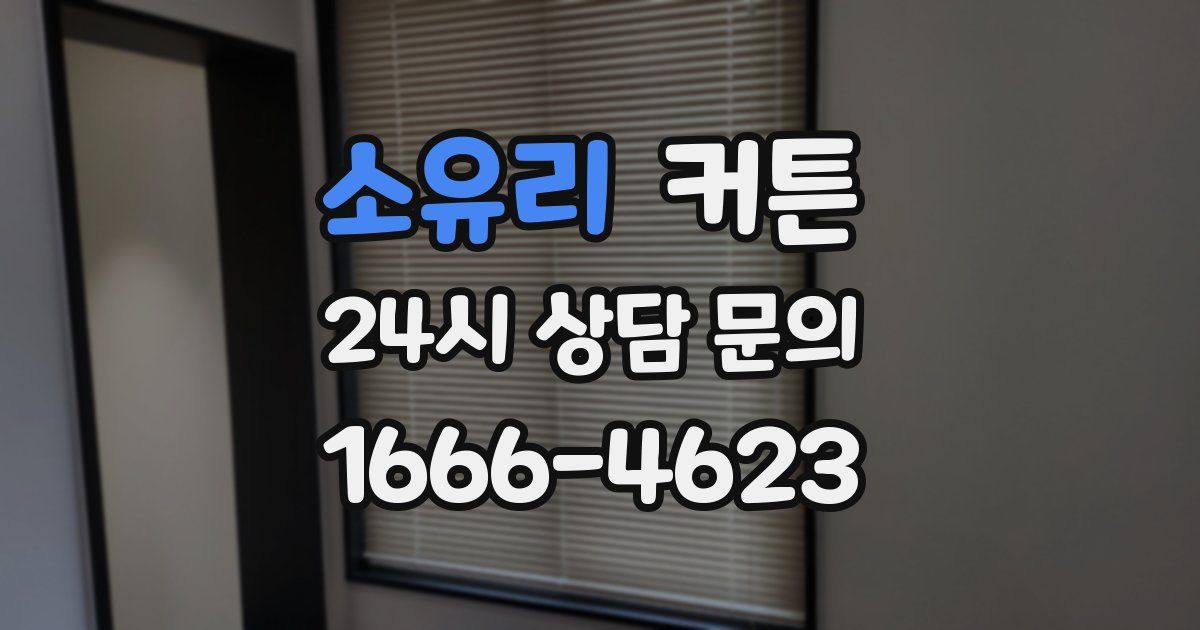 소유리 커튼