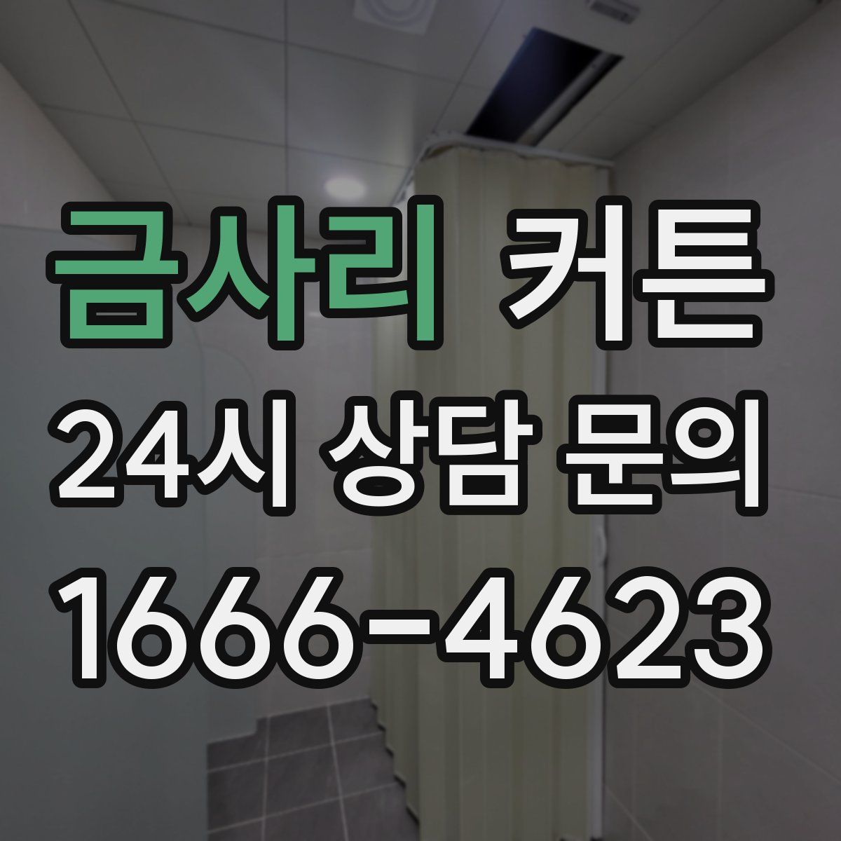 금사리 커튼