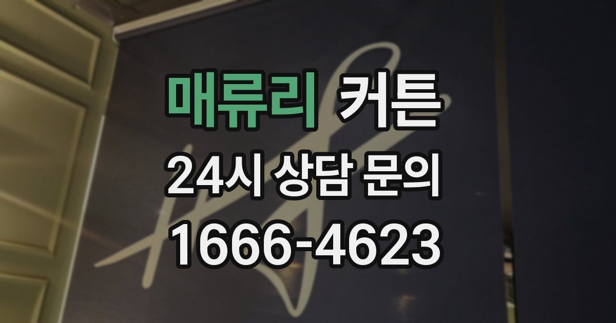 매류리 커튼