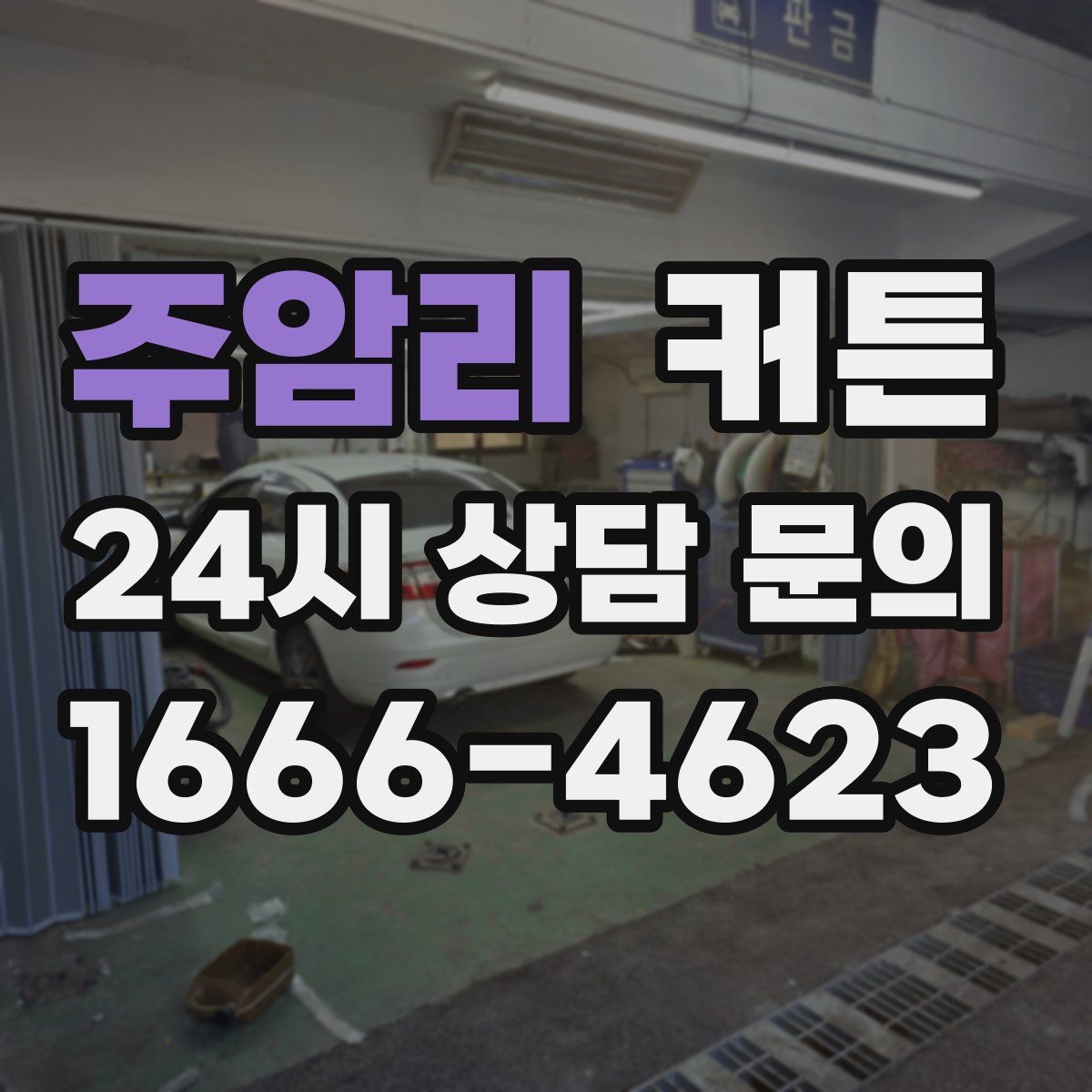 주암리 커튼